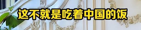 知名演员炮轰樊振东：吃中国饭砸中国锅，泄露技术机密是卖国！（视频/组图） - 9