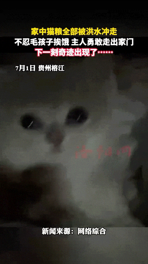 【爆笑】外卖小哥笑了5分钟才把餐给妹子，一打开人都傻了！是老板的猫拉里面了吗？（组图） - 15
