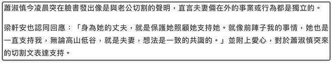 48岁萧淑慎首谈老公性侵风波，婚后流产5次：允许他乱搞但别曝光（组图） - 5