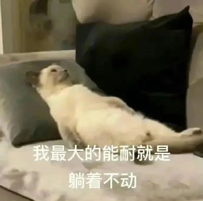 【爆笑】外卖小哥笑了5分钟才把餐给妹子，一打开人都傻了！是老板的猫拉里面了吗？（组图） - 27
