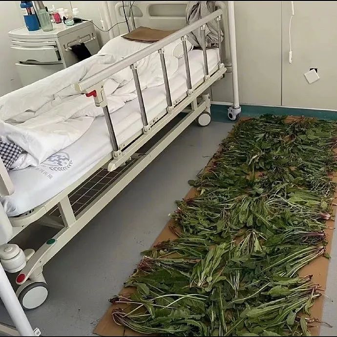 【爆笑】爱马仕出了个550的新品?被网友吐槽上热搜?网友夺笋:我唯一买的起的爱马仕!(组图) - 35