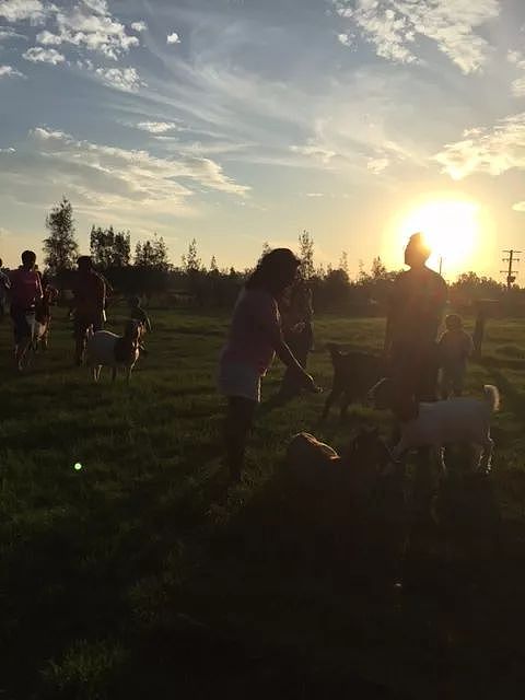 整整15个!悉尼周边最适合全家出游的家庭农场,全部集结完毕!妈妈们遛娃走起〜(组图) - 71