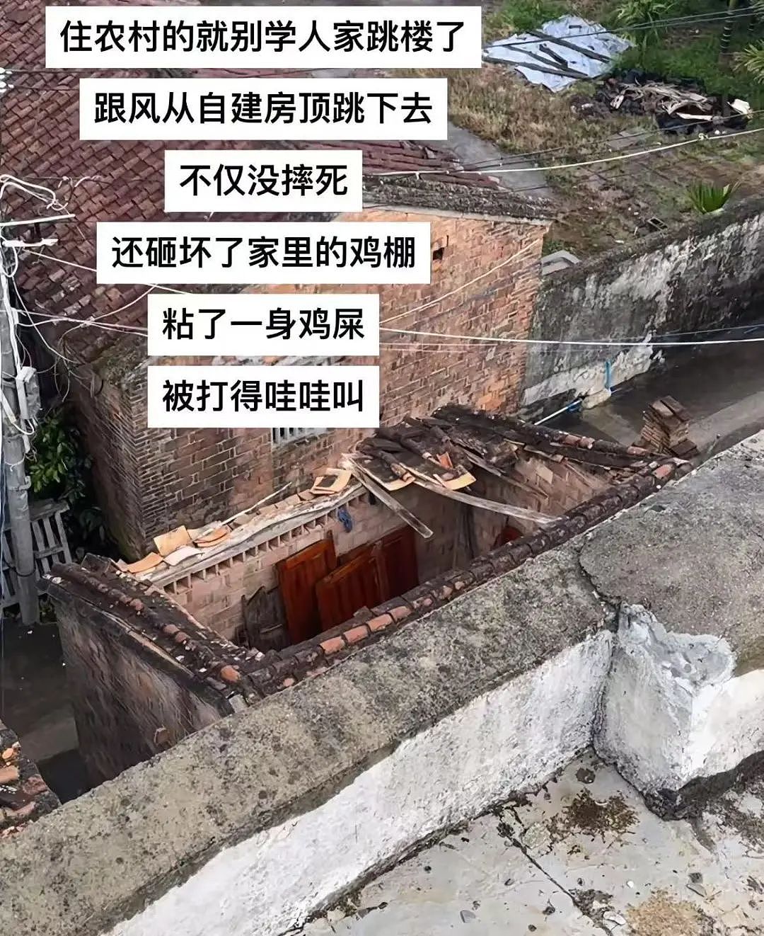 【爆笑】“相亲对象迷惑发言是在暗示我吗...?”网友夺笋:新型电子宠物上市了(组图) - 48