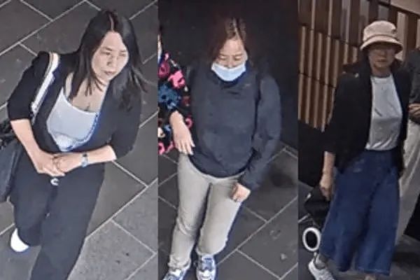 悉尼华人被骗超$300万澳币！63岁华人大妈被捕！警方发中文警告：这些“祈福党”，专骗老人妇女...（组图） - 12