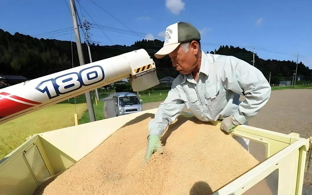撑不住了!价格狂飙90%,连夜排队抢购,日本“米荒”真相很残酷(组图) - 11