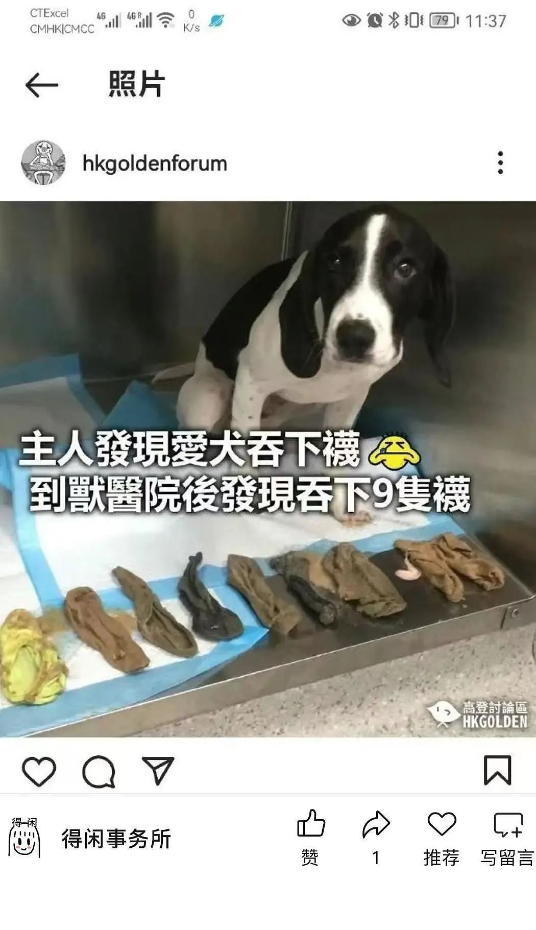 【爆笑】“当代网友对电动车的开发能有多极致？”哈哈哈评论区电动车使用大全（组图） - 77