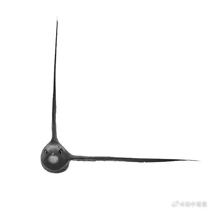 【爆笑】“当代网友对电动车的开发能有多极致？”哈哈哈评论区电动车使用大全（组图） - 82