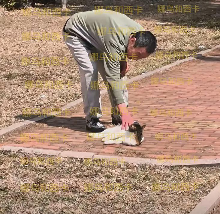 青岛大学宿管大爷热死：住小屋没空调，8个月没发工资，校方通报（组图） - 5