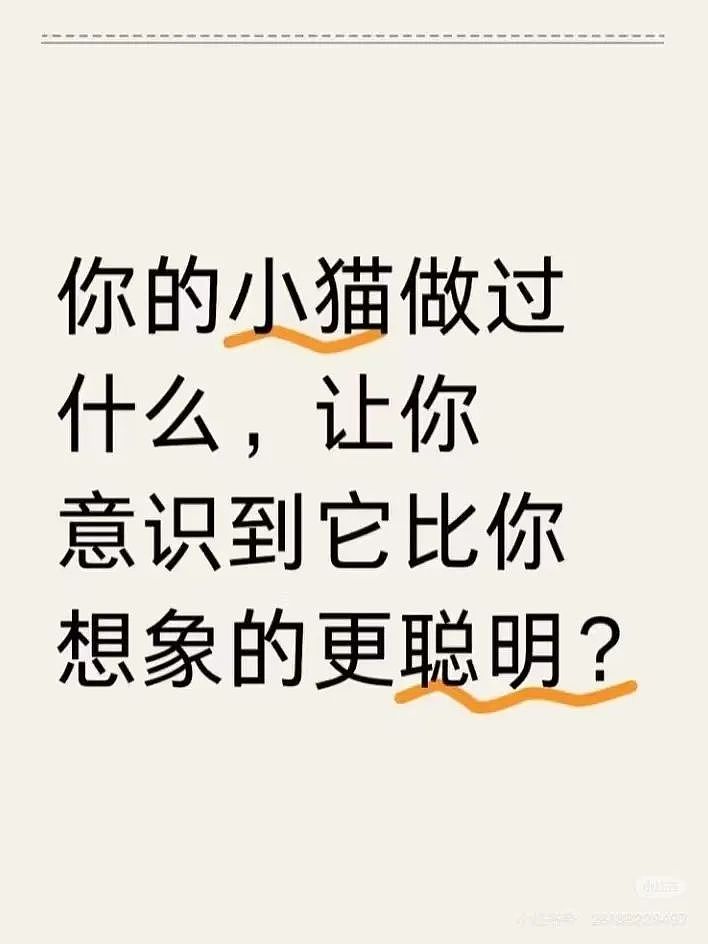 【爆笑】“相亲对象迷惑发言是在暗示我吗...?”网友夺笋:新型电子宠物上市了(组图) - 44