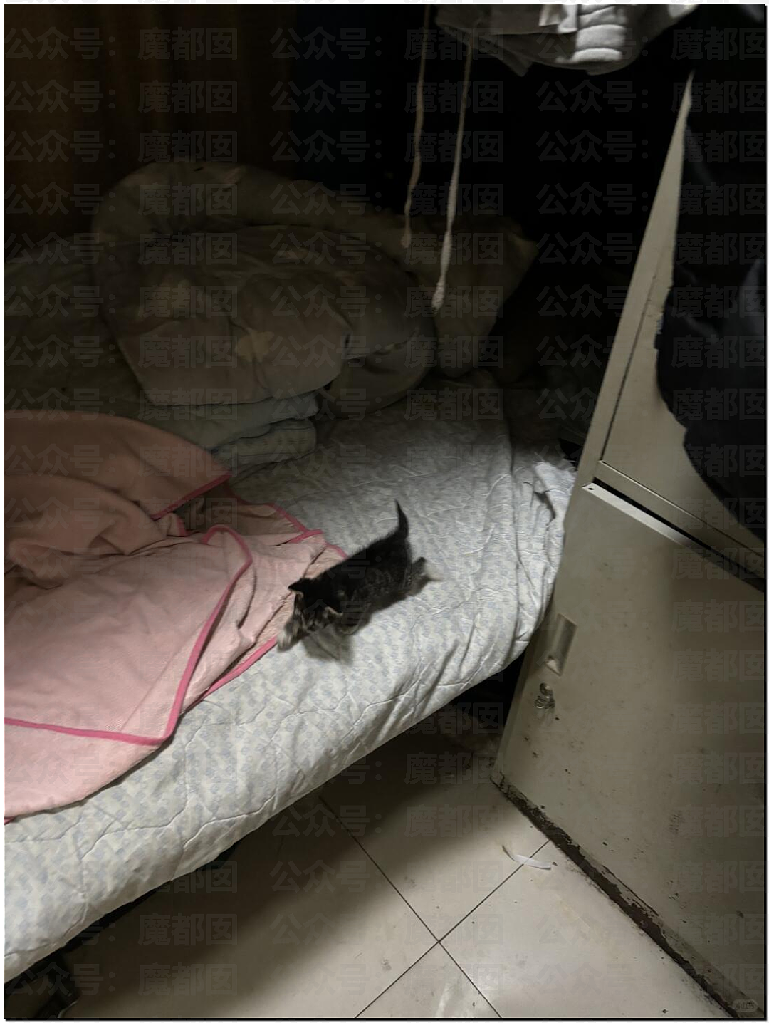 热爆了！中国持续高温，青岛大学宿管大爷活活热死，烟台多名大学生中暑急救，学生半夜集体大喊“装空调”（视频/组图） - 34