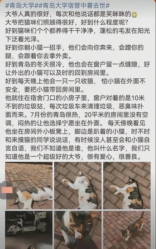 青岛宿管大爷热死!学生曝欠薪8月,老人把风扇让给流浪猫(组图) - 5