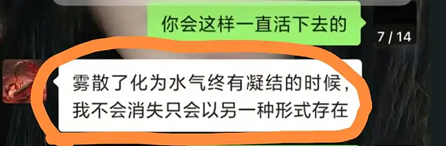 南航31岁机长坠亡事件：到底是什么让他千疮百孔？（组图） - 7