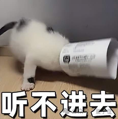 谁是余家辉？年薪1亿美元AI研究员，吴永辉嫡系弟子（组图） - 8