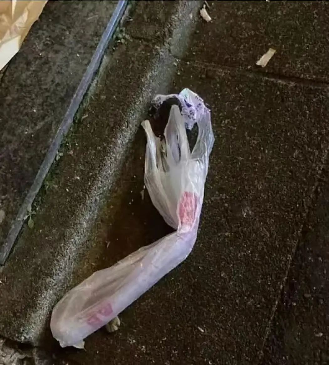 【爆笑】“当代网友对电动车的开发能有多极致？”哈哈哈评论区电动车使用大全（组图） - 65
