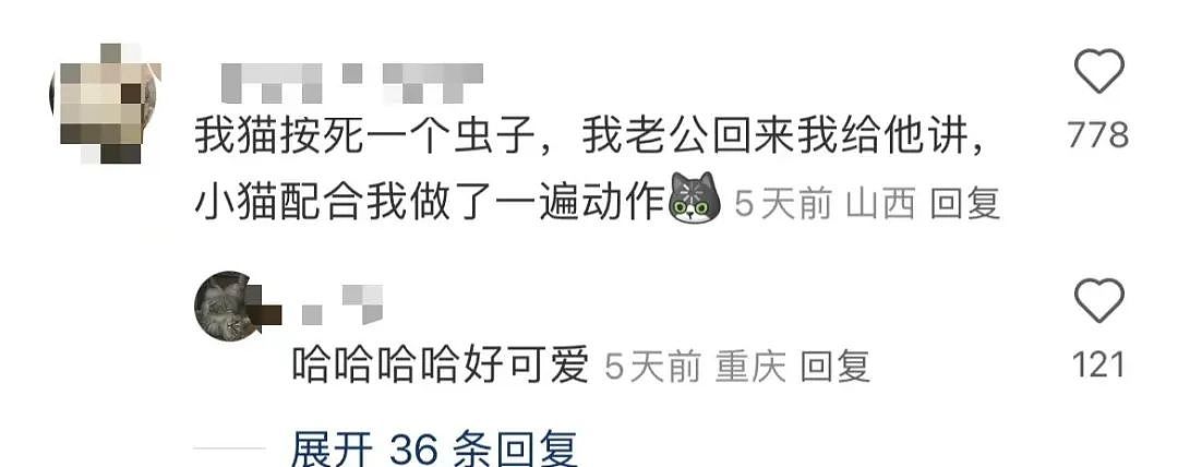 【爆笑】“相亲对象迷惑发言是在暗示我吗...?”网友夺笋:新型电子宠物上市了(组图) - 46