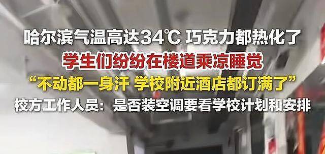 青岛宿管大爷热死!学生曝欠薪8月,老人把风扇让给流浪猫(组图) - 1