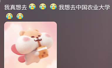 全网最能给人情绪价值的男人,大学生一刷他视频就笑到停不下(组图) - 8