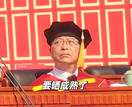 全网最能给人情绪价值的男人,大学生一刷他视频就笑到停不下(组图) - 29