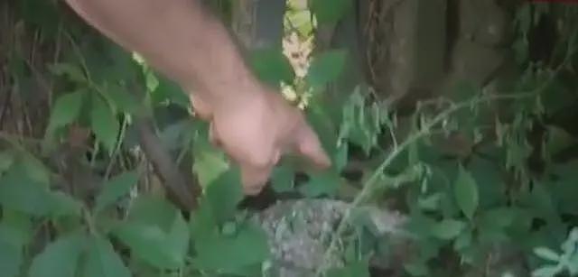 华裔女孩遭恶汉垂涎，酒吧内数刀香消玉殒，凶手是摩洛哥非法移民（组图） - 16