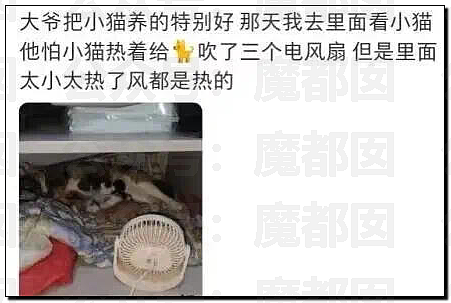 热爆了！中国持续高温，青岛大学宿管大爷活活热死，烟台多名大学生中暑急救，学生半夜集体大喊“装空调”（视频/组图） - 30