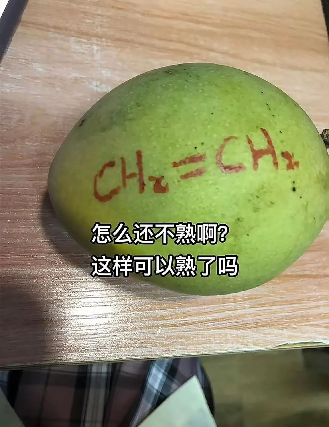 【爆笑】“相亲对象迷惑发言是在暗示我吗...?”网友夺笋:新型电子宠物上市了(组图) - 60
