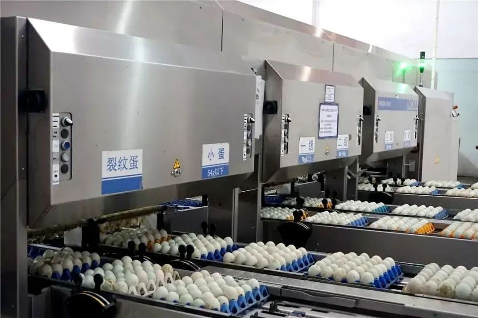 被嫌弃的中国皮蛋，成了美国Costco“断货王”（组图） - 11