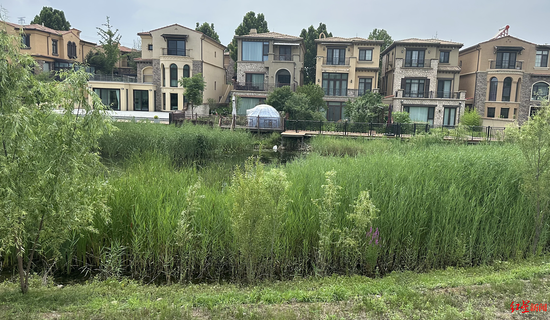 北京一别墅小区选出新物业，老物业拒绝退场：两批保安分别向业主敬礼，两拨人“抢活干”（组图） - 6