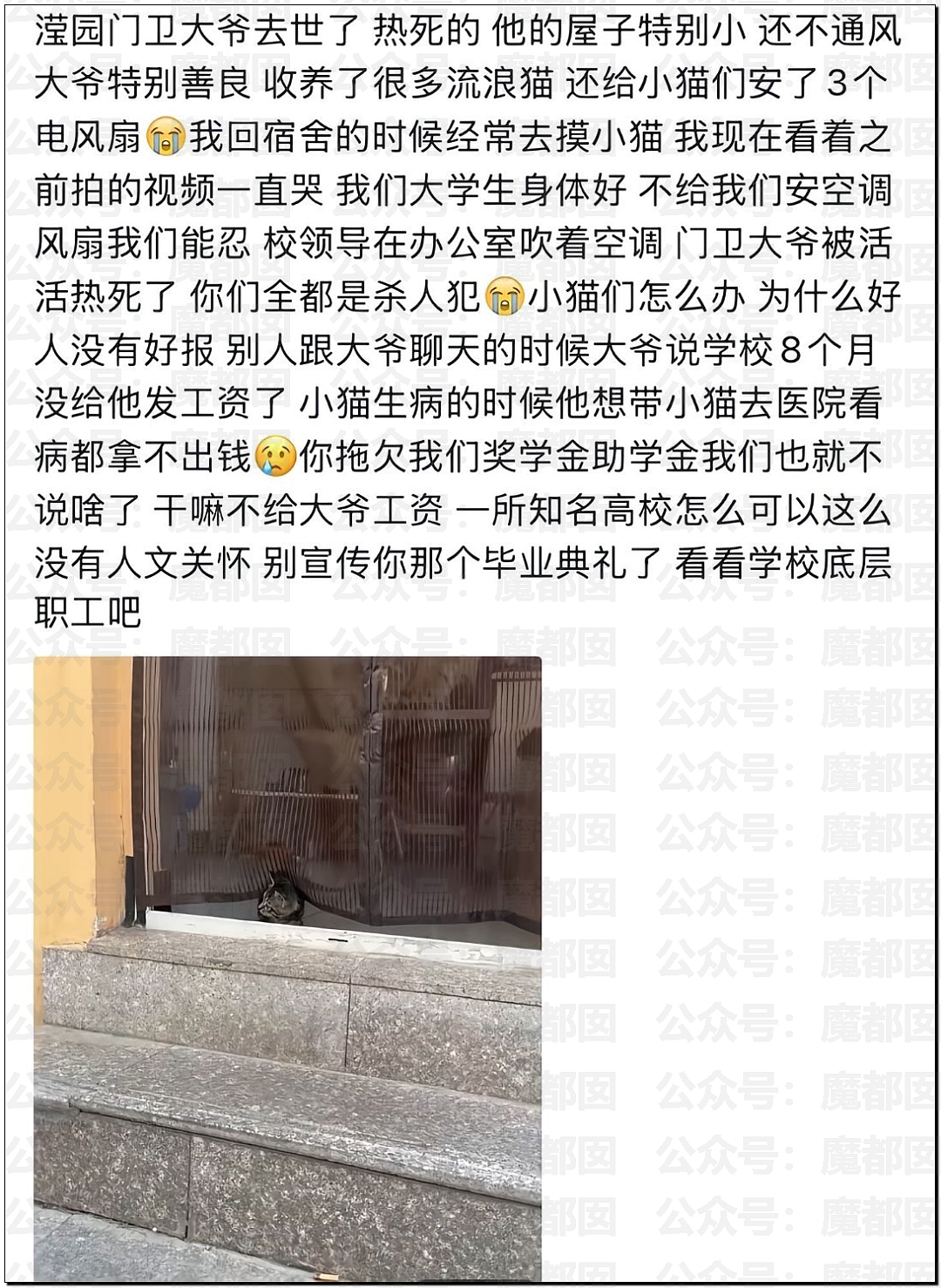热爆了！中国持续高温，青岛大学宿管大爷活活热死，烟台多名大学生中暑急救，学生半夜集体大喊“装空调”（视频/组图） - 13