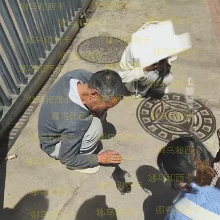 青岛大学宿管大爷热死：住小屋没空调，8个月没发工资，校方通报（组图） - 2