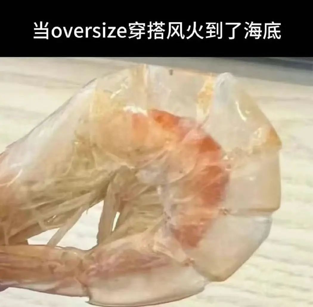 【爆笑】“当代网友对电动车的开发能有多极致？”哈哈哈评论区电动车使用大全（组图） - 58