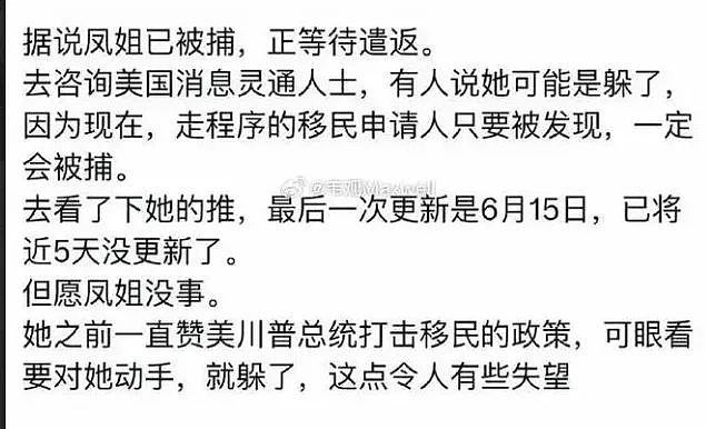 凤姐要被遣返？特朗普“大而美”法案通过后，将成批抓捕非法移民（组图） - 4