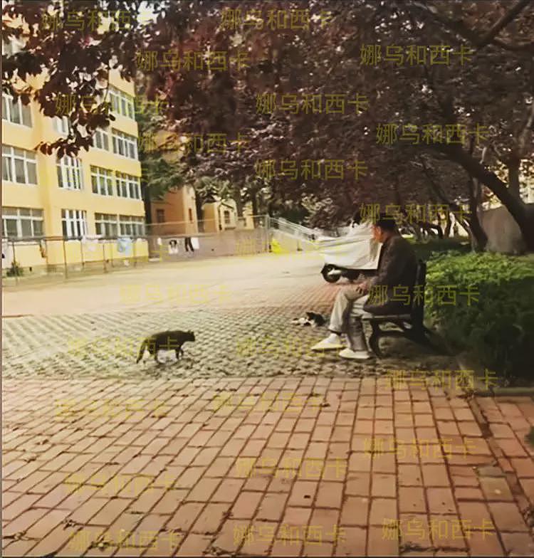 青岛大学宿管大爷热死：住小屋没空调，8个月没发工资，校方通报（组图） - 6