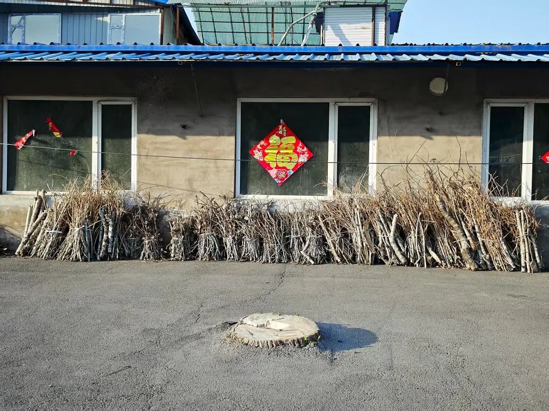 海归硕士考编乡镇街道办！名校毕业生，上岸基层之后（组图） - 11