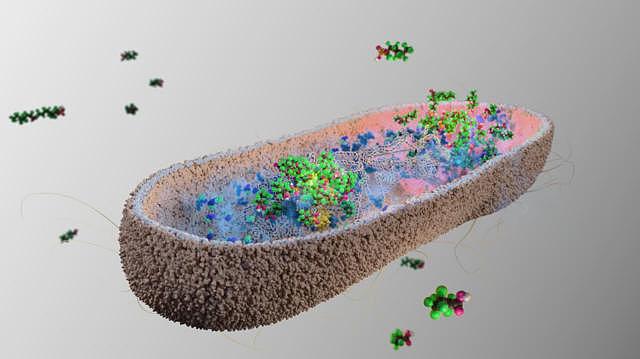 科学家发现防御“永久化学物质”PFAS的新方法（组图） - 2