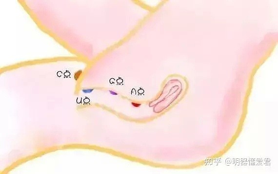 【两性】把对方当工具人?很多男人都希望自己成为“床上打桩机”(组图) - 2