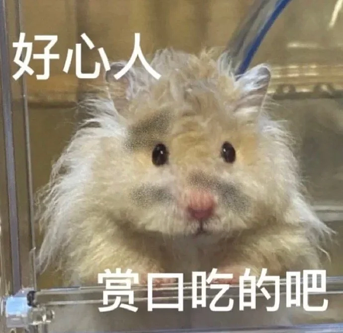 疑似又是华人？新加坡惊现“蹭饭女团”：专挑落单老安哥下手、月入$6000...（组图） - 12