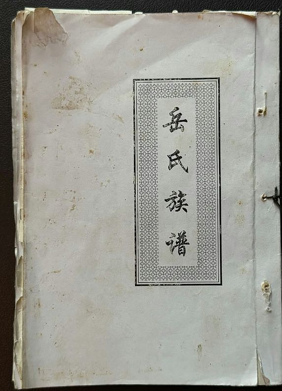 岳飞第35代后人参选港姐！真实身份遭质疑！霸气晒族谱：绝对不是假料（组图） - 3