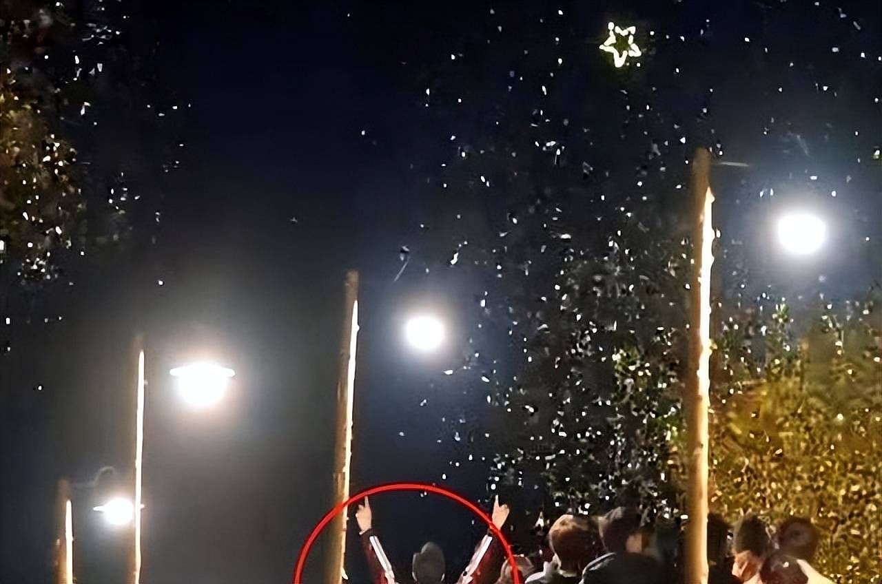 汪峰牵手宁静后，森林北评论区沦陷，她仅用一个举动，表明了态度（组图） - 5