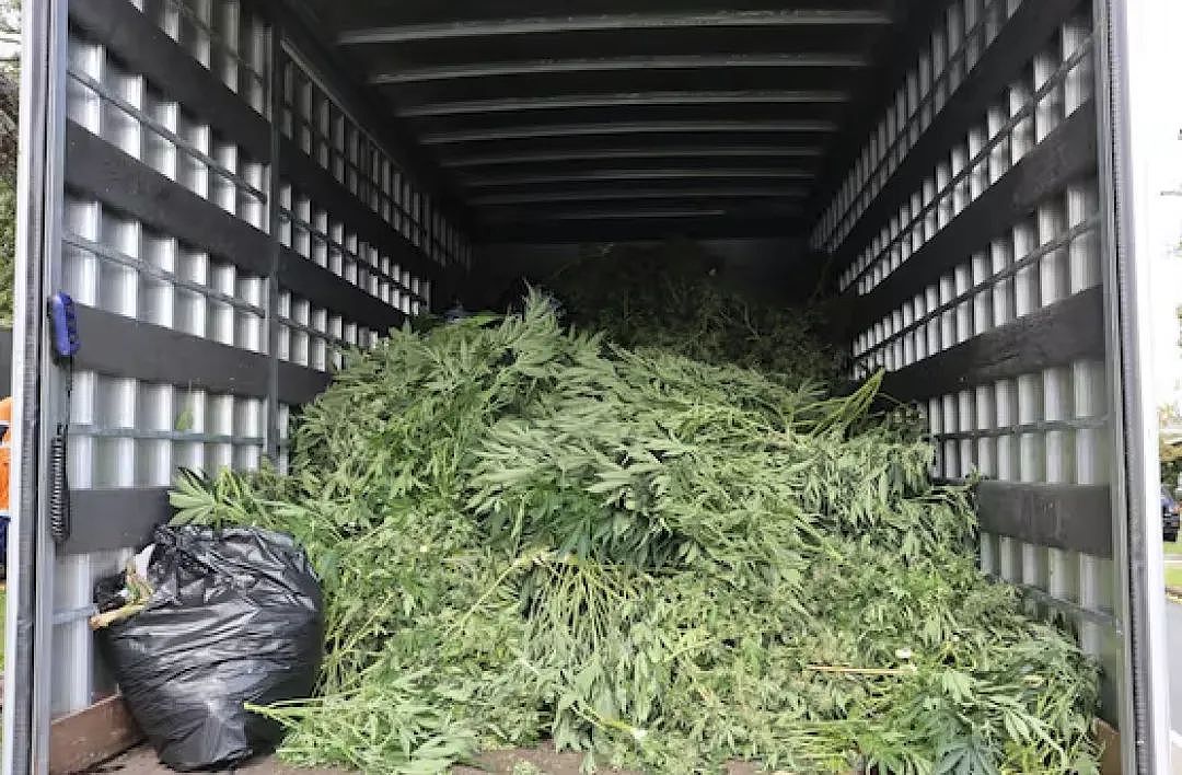 新西兰南岛6.0级地震，超千人震感明显；203名持工签者遭调查，卷入非法组织；流感13小时夺命，15岁赛车少女离世（组图） - 4