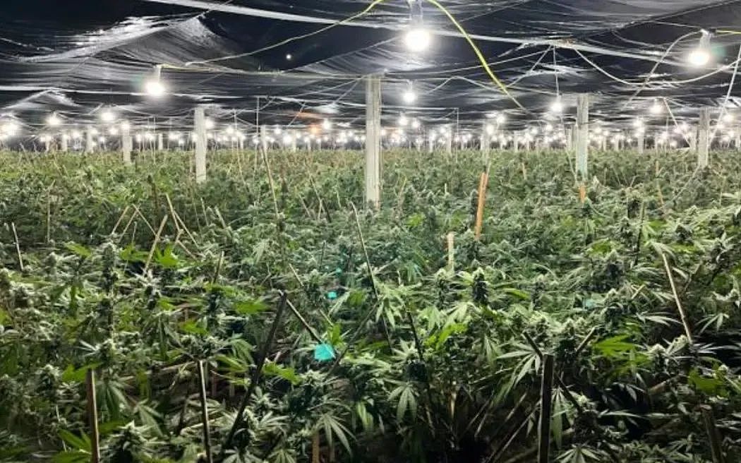 新西兰南岛6.0级地震，超千人震感明显；203名持工签者遭调查，卷入非法组织；流感13小时夺命，15岁赛车少女离世（组图） - 1