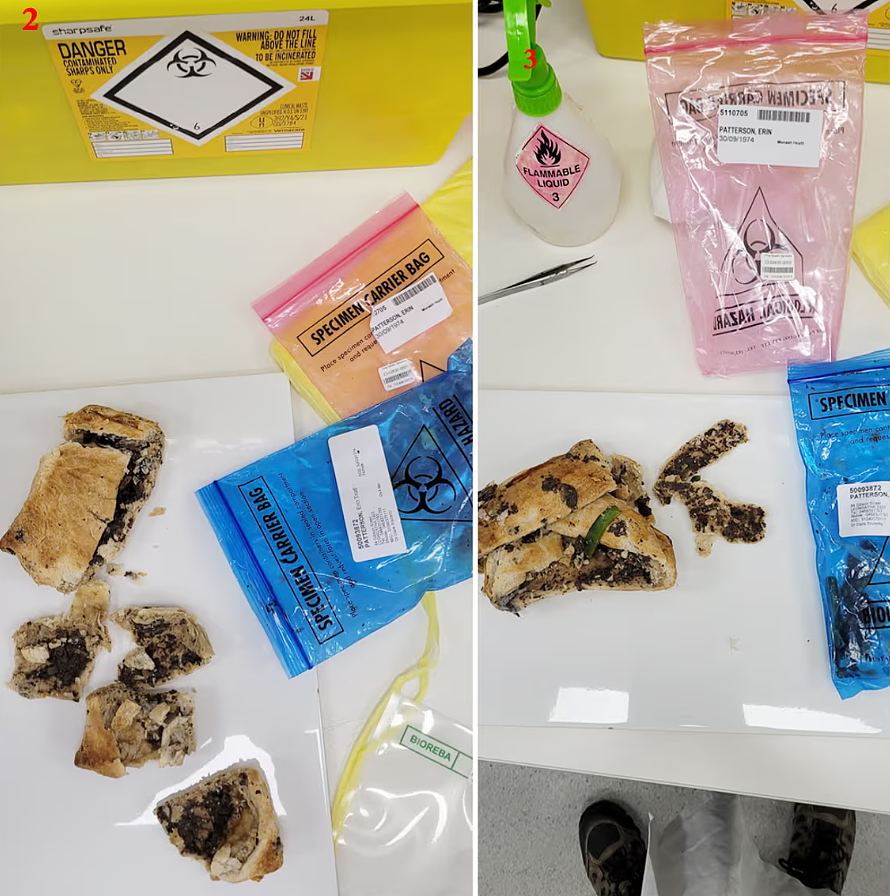 为挽回澳洲前夫，她送房2套，再豪掷百万！转头却毒杀他全家，前夫逃过一劫！刚刚定罪（组图） - 9