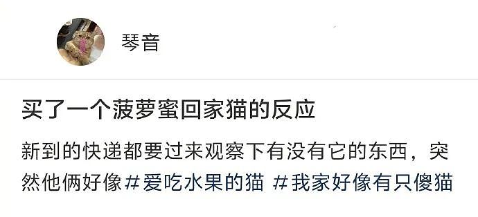 【爆笑】相亲第一次见面，男方居然约我去游泳？ ​​网友无语：为了看你的素颜还有身材？（组图） - 13