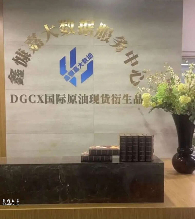 “迪拜黄金交易所”暴雷：18亿稳定币被转移（图） - 5