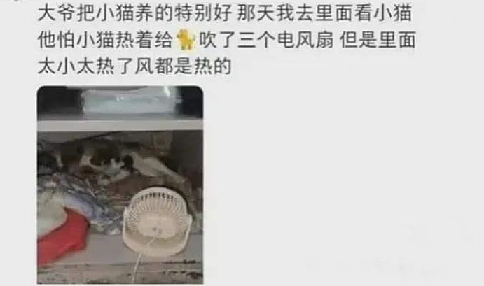 青岛宿管大爷中暑热死事件：那个叫张培生的老人，是个好人（组图） - 3