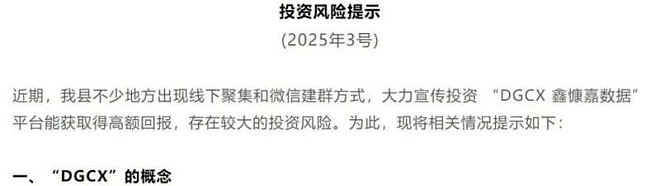 “迪拜黄金交易所”暴雷：18亿稳定币被转移（图） - 8