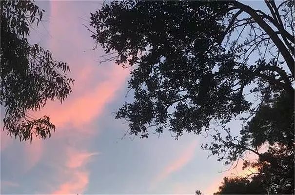 警惕针对“海归”人才的四种论调 黄金板块艳压群雄年涨幅逾五成 “黄金再次货币化”驱动估值重塑 个股表现或分化 澳商业地产显著复苏 - 4