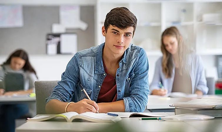 新州学生英文水平太差!?不到1%的学生获得HSC高分...(组图) - 7