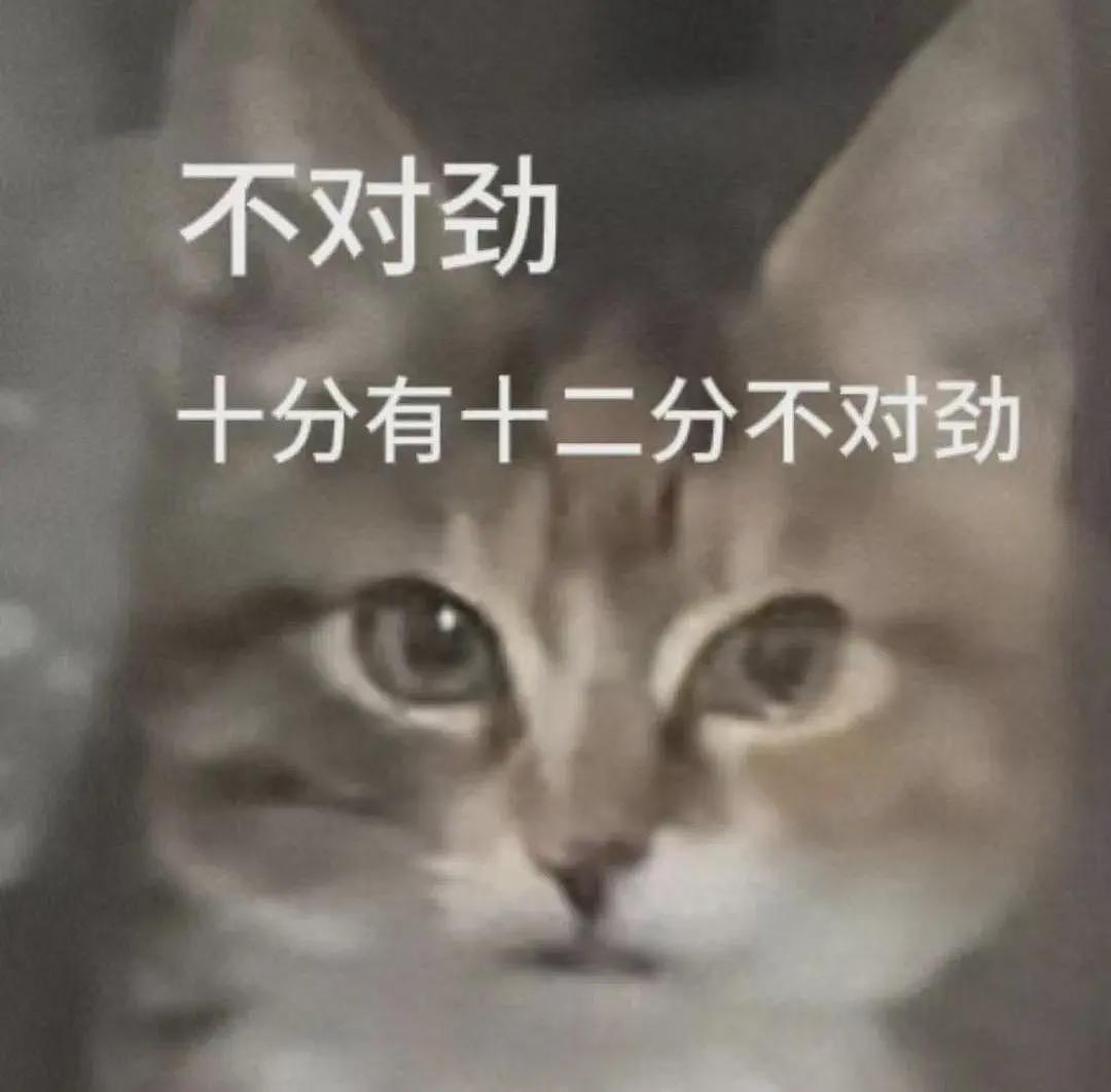 疑似又是华人？新加坡惊现“蹭饭女团”：专挑落单老安哥下手、月入$6000...（组图） - 2