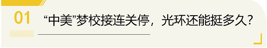 又一所中美合办大学停办，选择中外合作办学项目要注意什么（组图） - 5