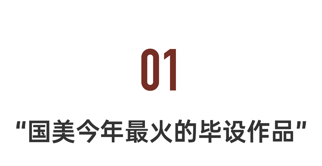 2025毕业季最大黑马：32岁硕士毕业，作品一周爆火（组图） - 3